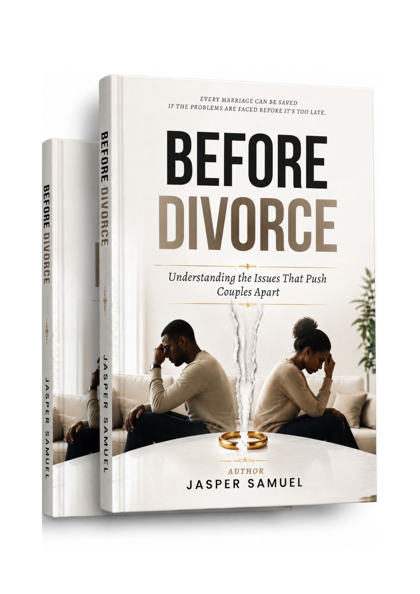 Before Divorce book cover