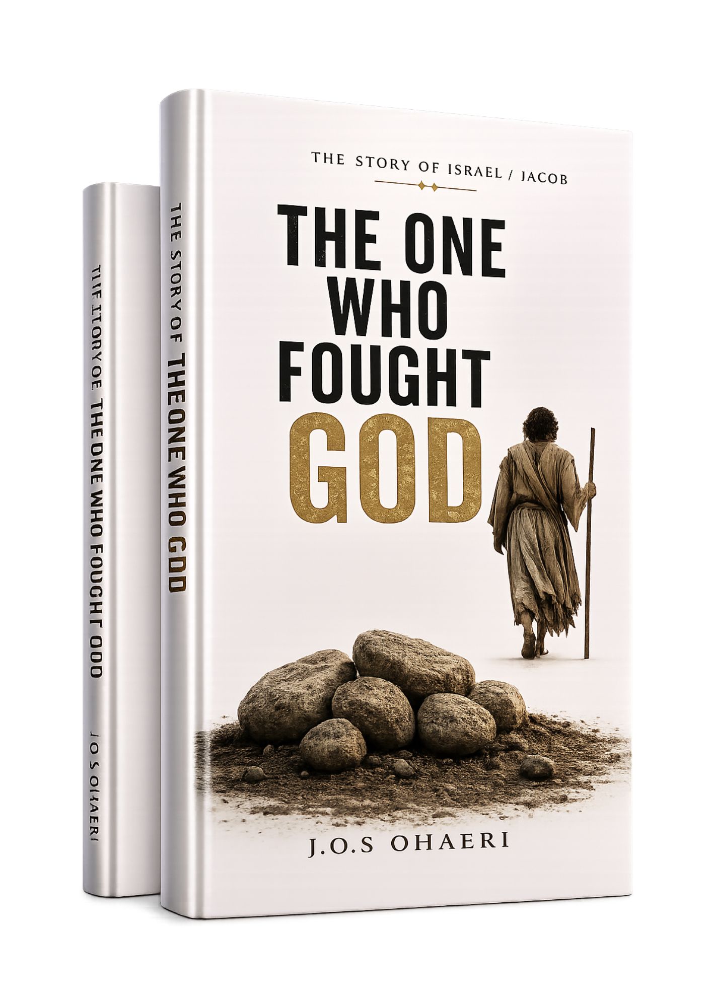 He, Who Lost Everything book cover